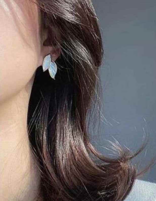 Combo of Leaf Studs And Claw Studs Earrings shop now